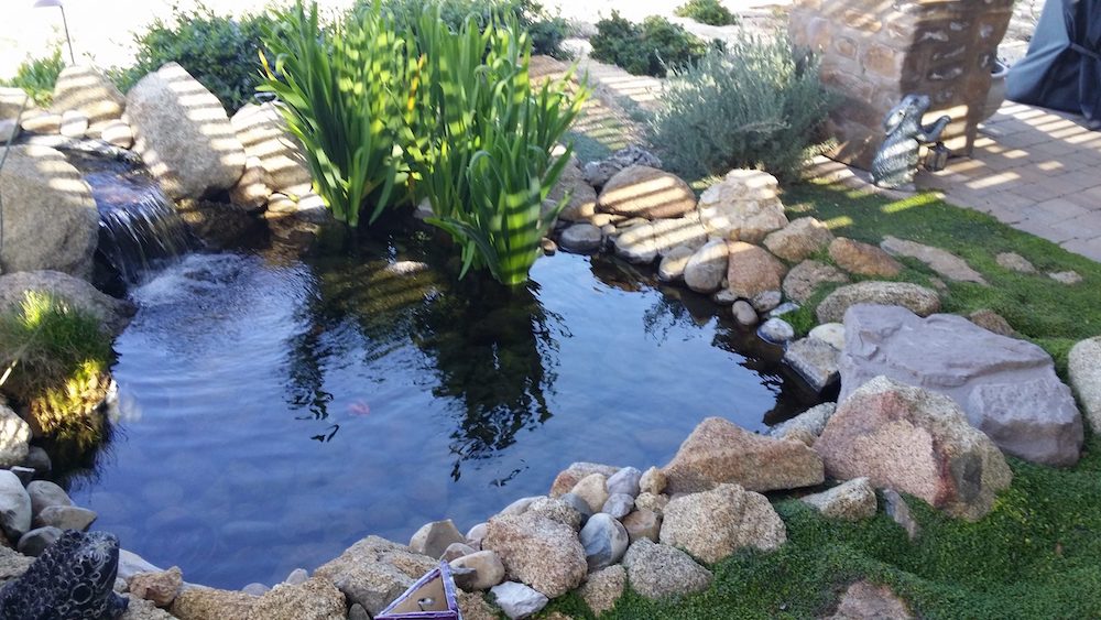 Landscape Design & Construction San Diego | Old World Landscape Gallery Image85