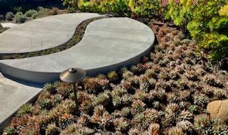 Ying Yang Garden San Diego Landscape Design and Construction P4